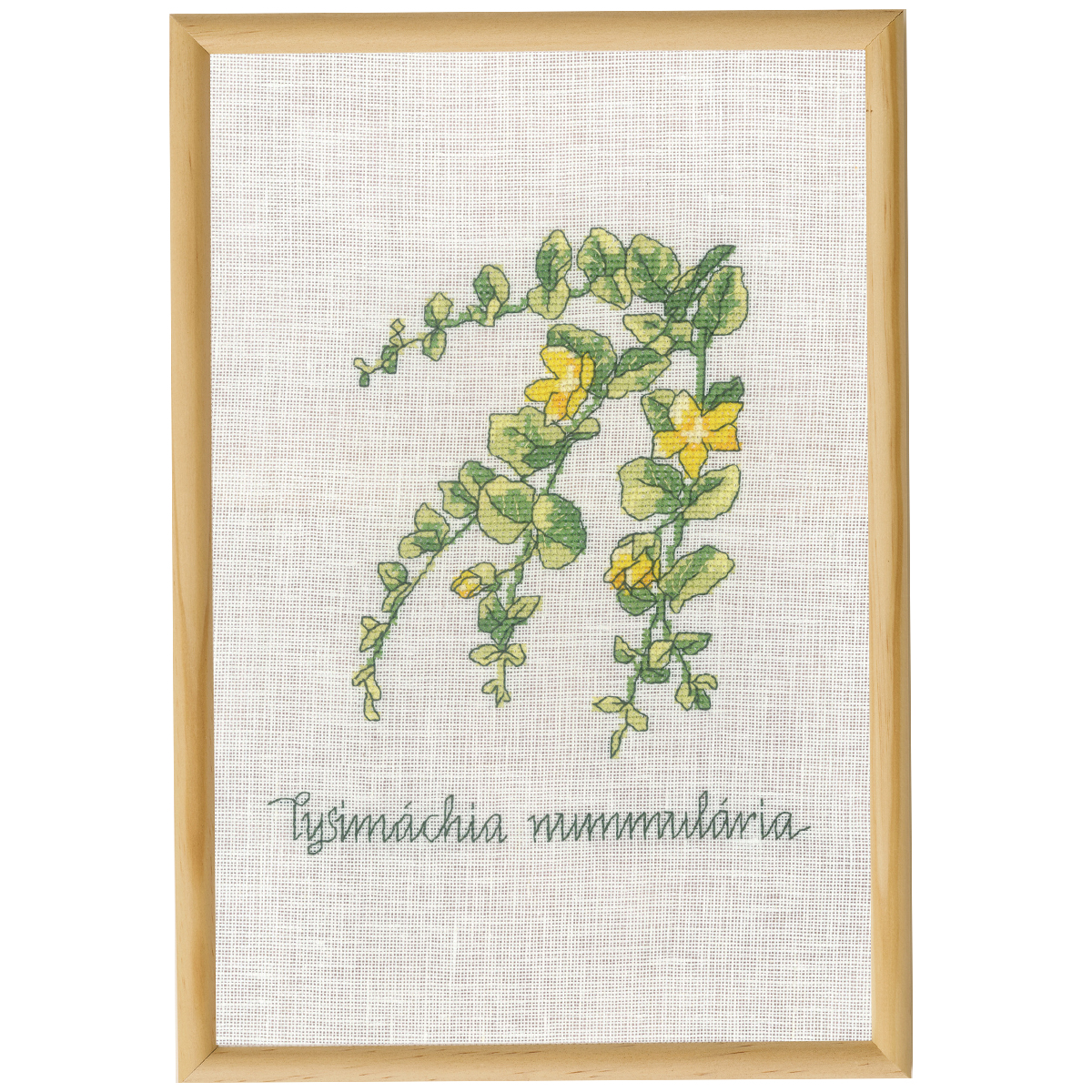 Korsstygnsbroderi Penningblad tavla, permin-70-1831